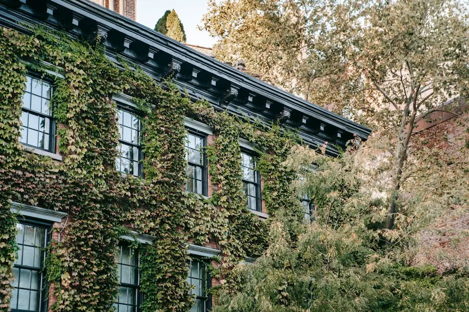 Why Regular Property Maintenance Matters: A Handyman’s Perspective in Yaletown